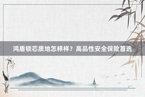 鸿盾锁芯质地怎样样？高品性安全保险首选