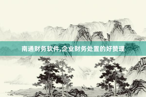 南通财务软件，企业财务处置的好赞理