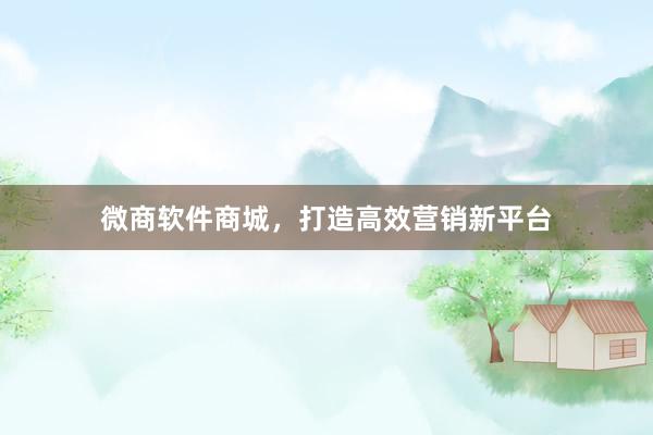 微商软件商城，打造高效营销新平台