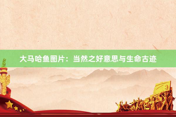大马哈鱼图片：当然之好意思与生命古迹